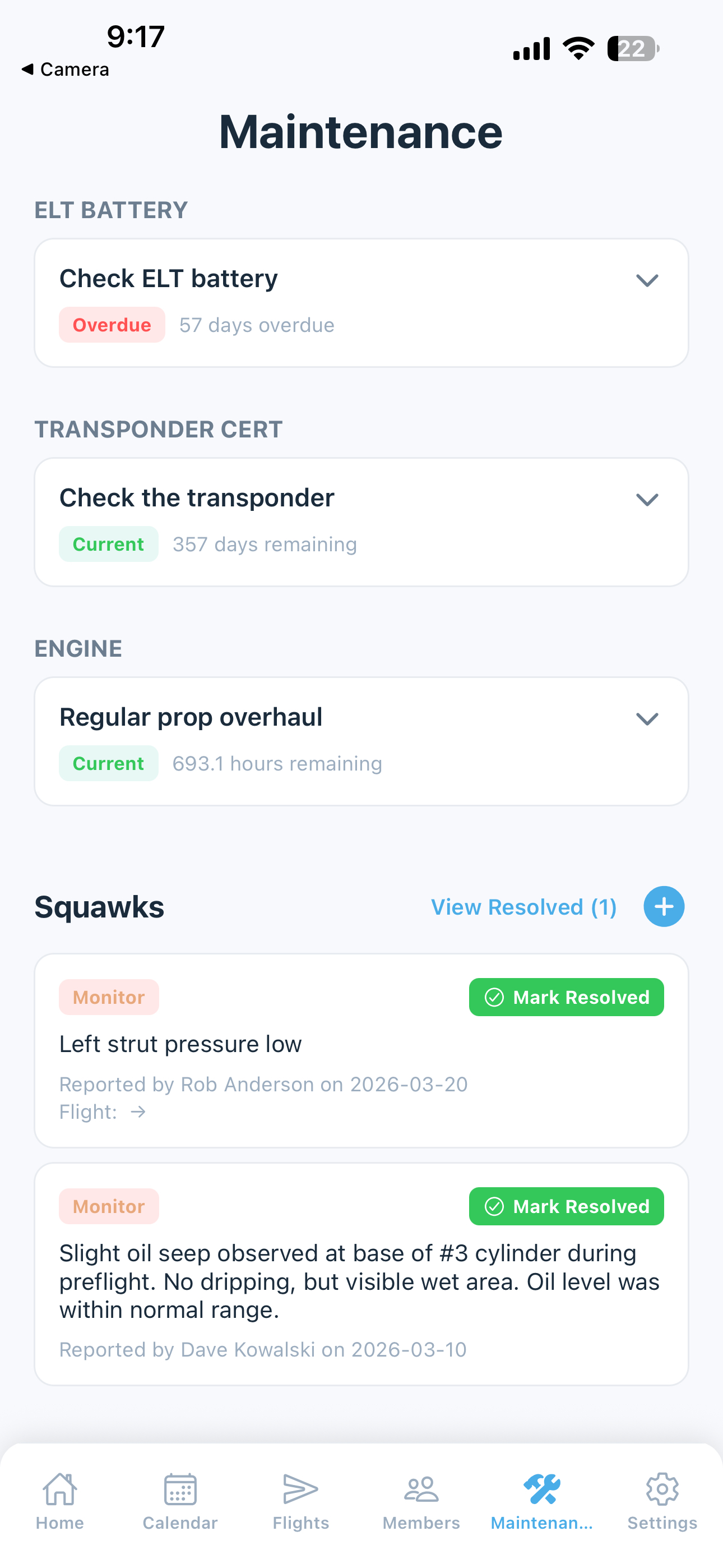 Maintenance screen - squawks section